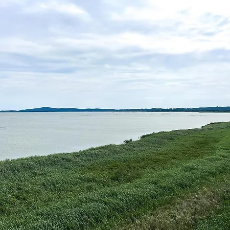 Beautiful In With Swimming Pool *