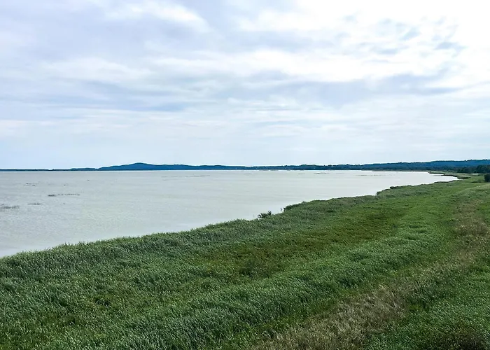 Beautiful In With Swimming Pool *